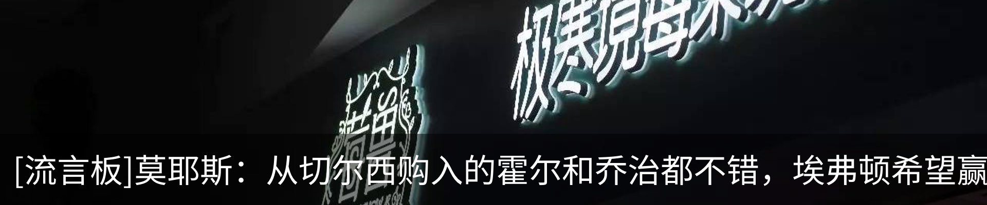 新闻动态